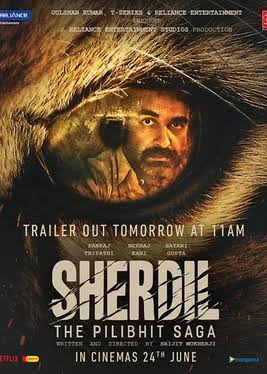 Sherdil Poster